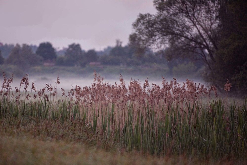 Photograph by Елена Мороз