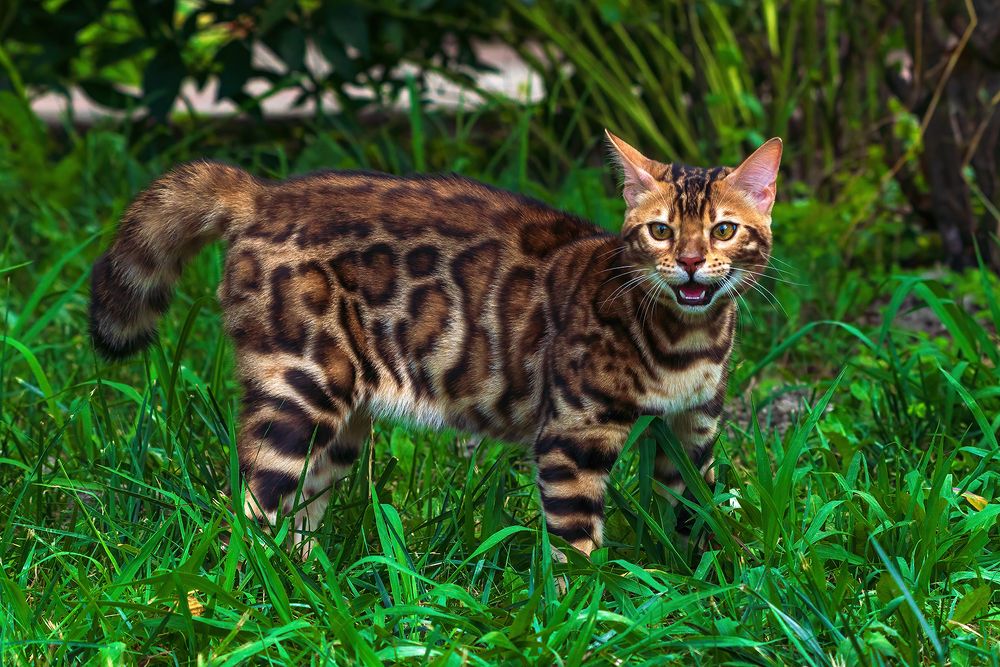 Фотография автора Valery