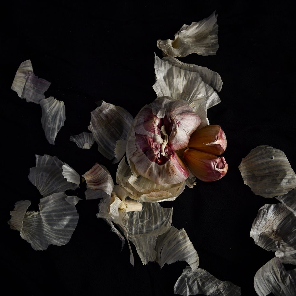 Photograph by Gabriela Morchio