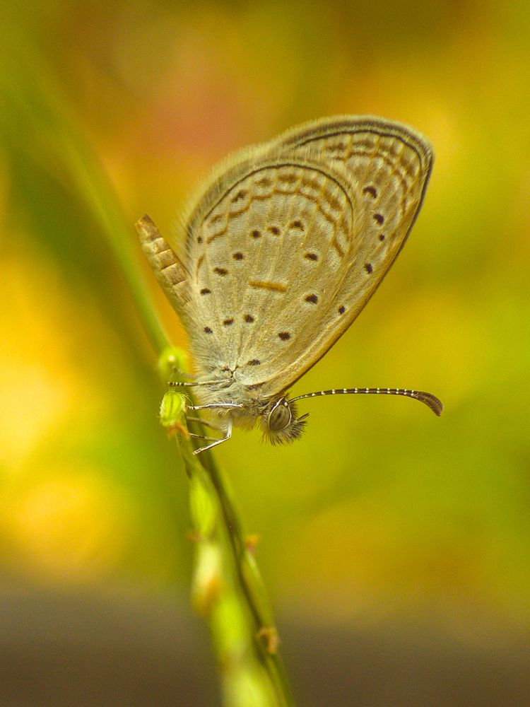 Photograph by Sumitava Chowdhury