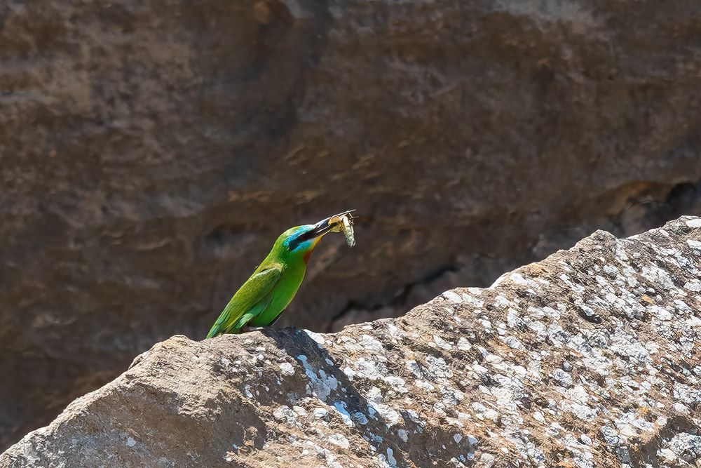 Фотография автора Valery