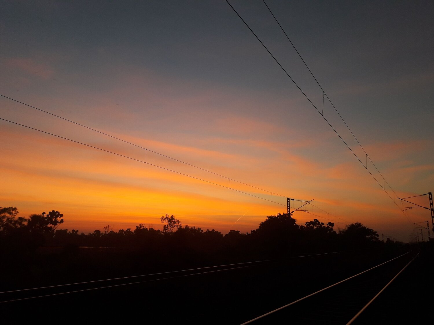 Photo #9318191