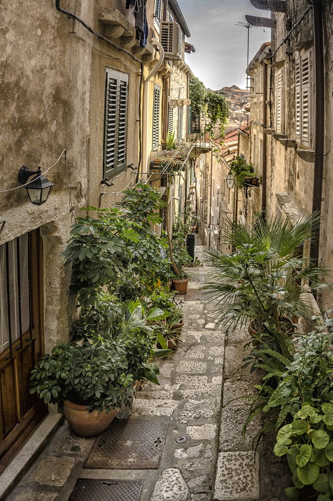 Фотография автора Milena Ivanova