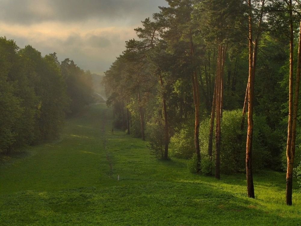 Photograph by Евгений Никонов