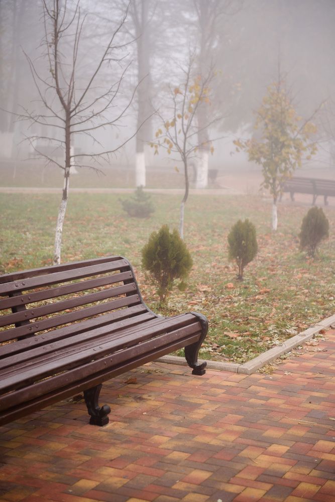 Photograph by Дарья Полиева