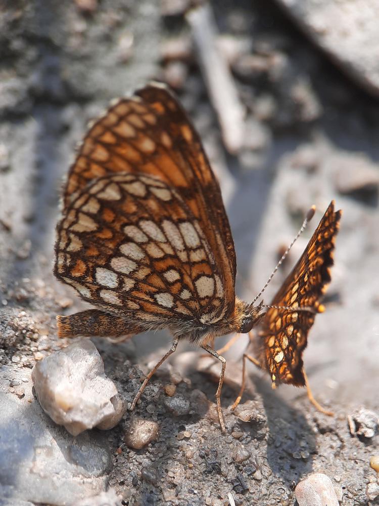 Photograph by Любовь Войтишина