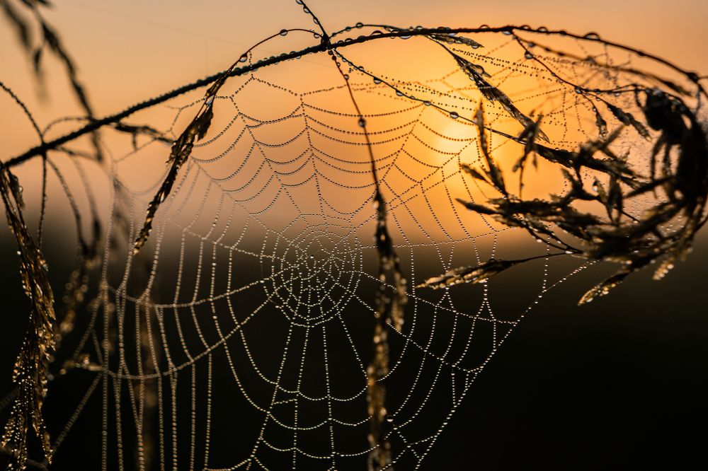 Photograph by Vitaly Zubkov