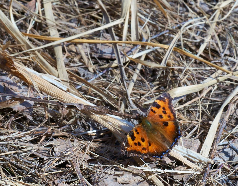 Photograph by Дмитрий Соколов