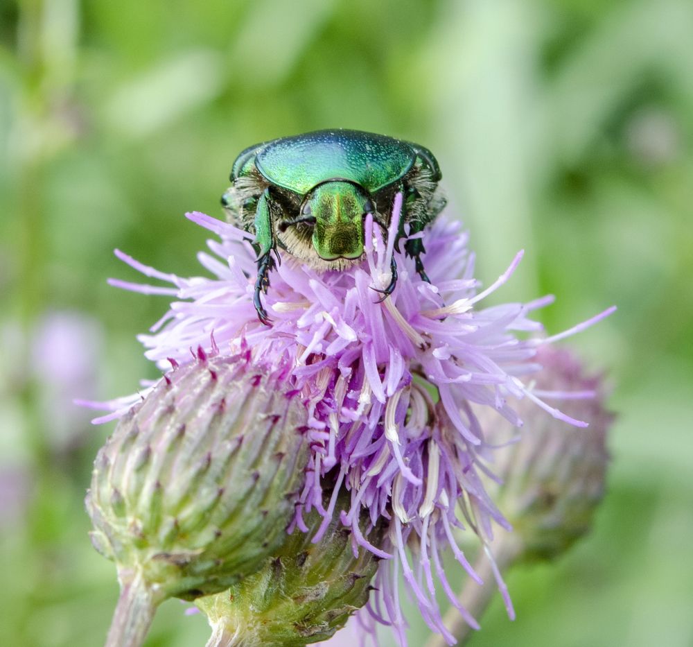 Photograph by Любовь Бусова