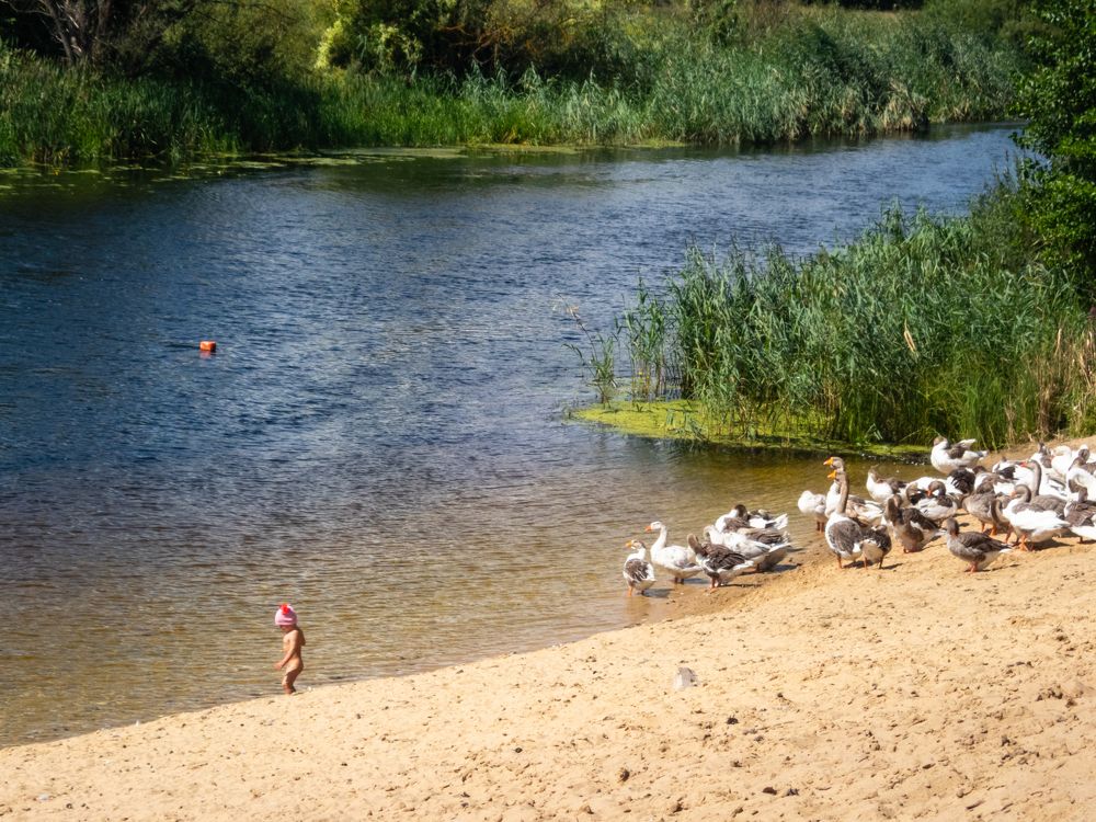 Photograph by Александр