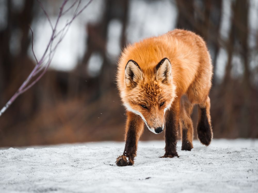 Photograph by Евгений Житников