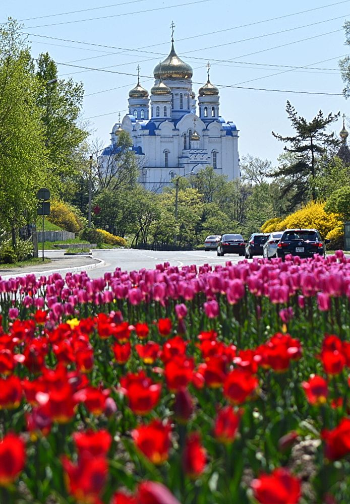 Photograph by Natalia Kopeva