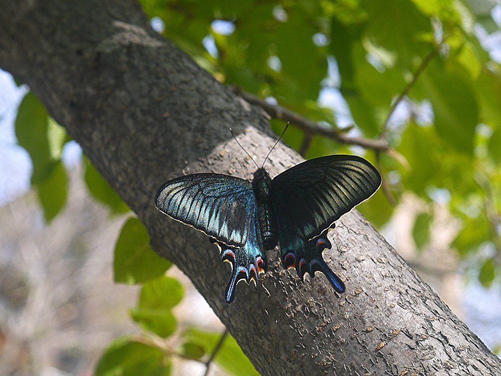 Photograph by Natalia Kopeva
