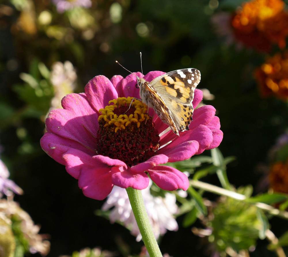 Photograph by Natalia Kopeva