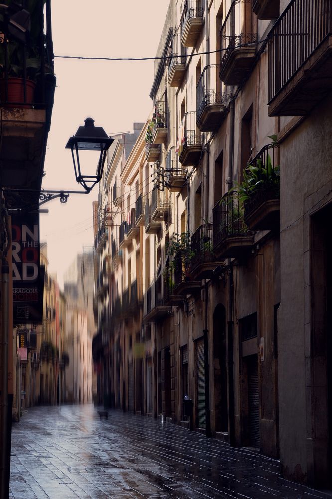 Photograph by Татьяна Светличная