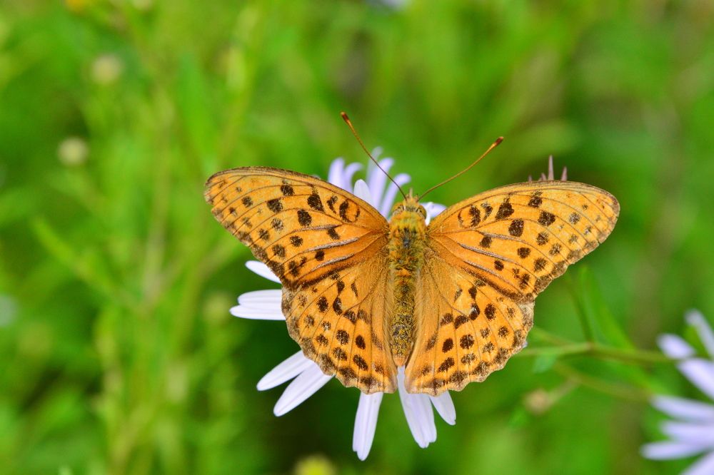 Photograph by Дмитрий Юдин
