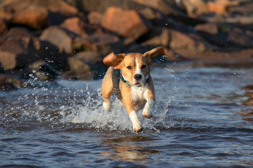 Photograph by Anna Oris