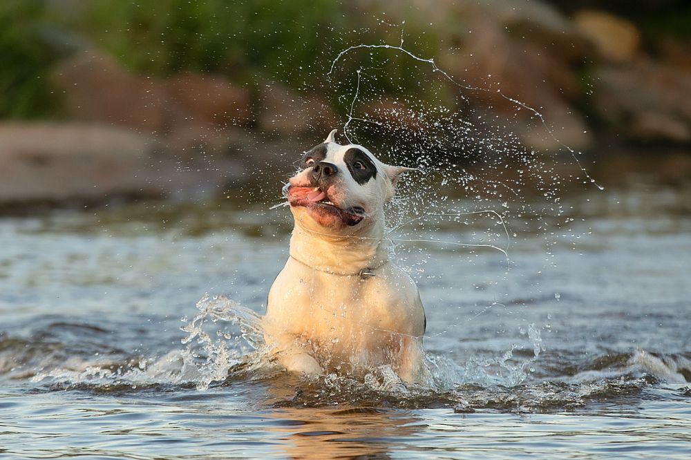 Photograph by Anna Oris