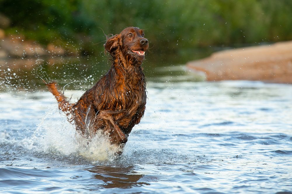 Photograph by Anna Oris