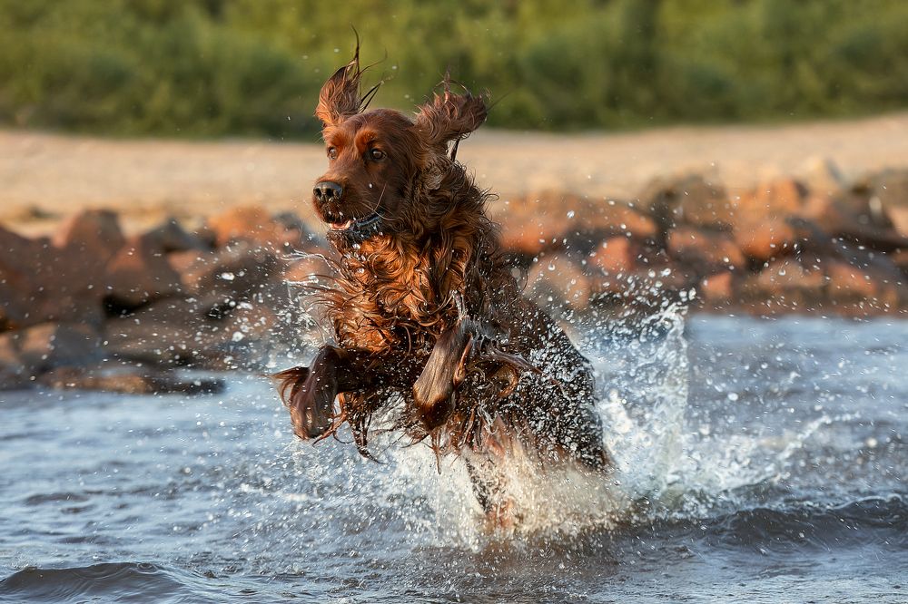 Photograph by Anna Oris