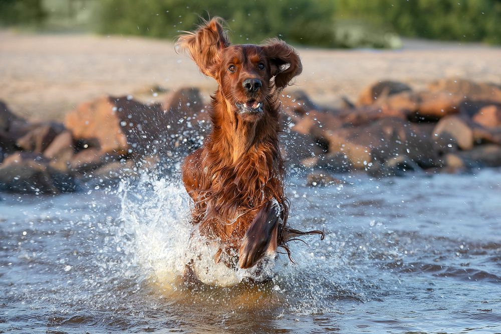 Photograph by Anna Oris