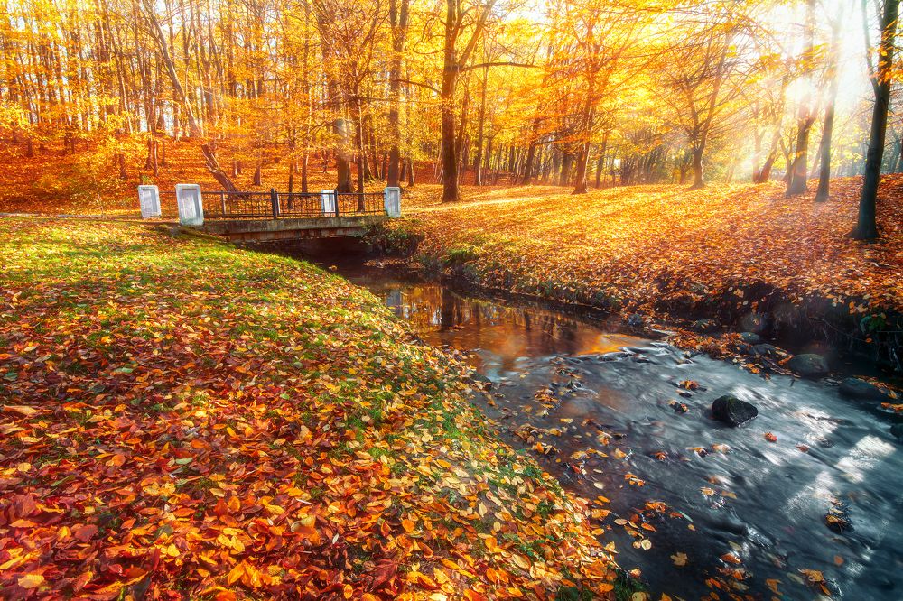 Photograph by Павел Абакумов