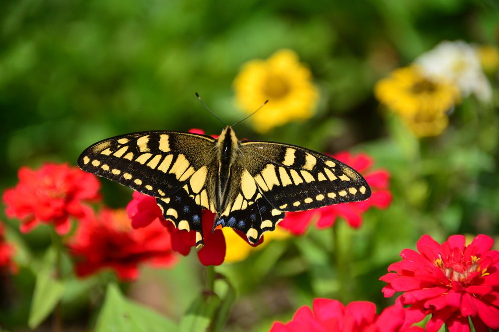 Photograph by Дмитрий Юдин