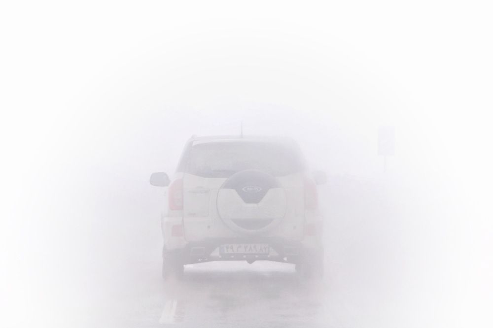 Photograph by amir ali navadeh shahla