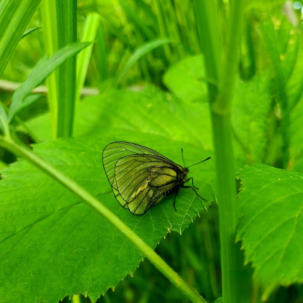 Photograph by Татьяна Анатольевна