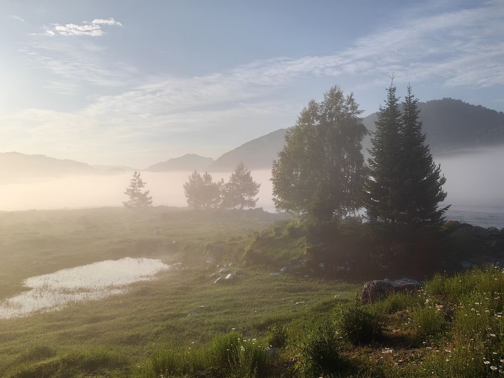 Летний туман