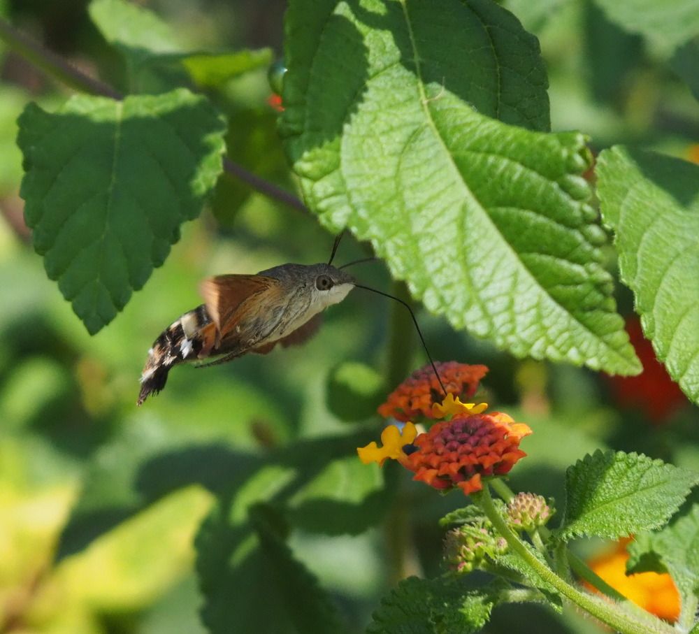 Photograph by Сергей Тузлуков
