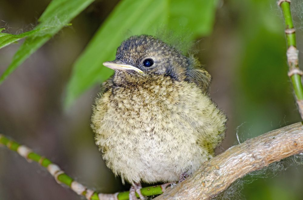 Photograph by Любовь Бусова