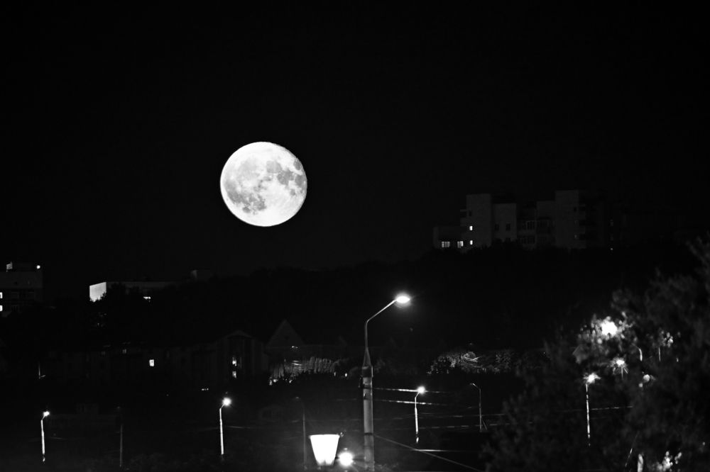 Photograph by Сергей Кривоносов