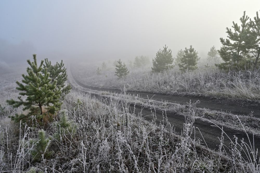 Осенний туман