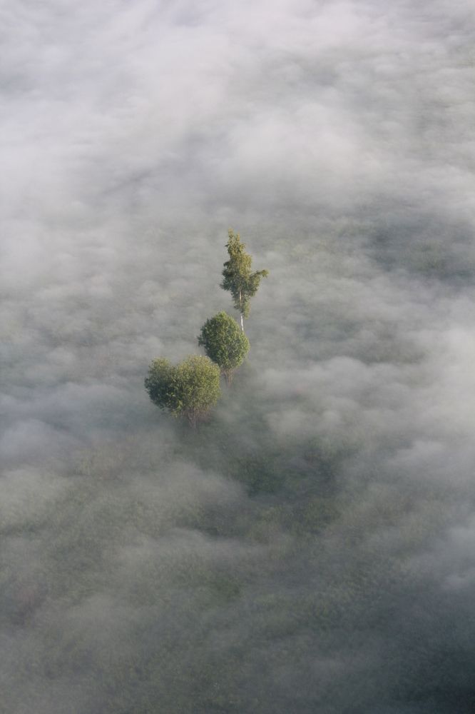 Photograph by Тимофей Петров