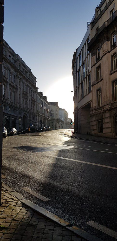 Фотография автора Ирина Зиник