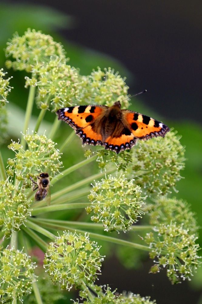 Photograph by Алексейчик Дмитрий