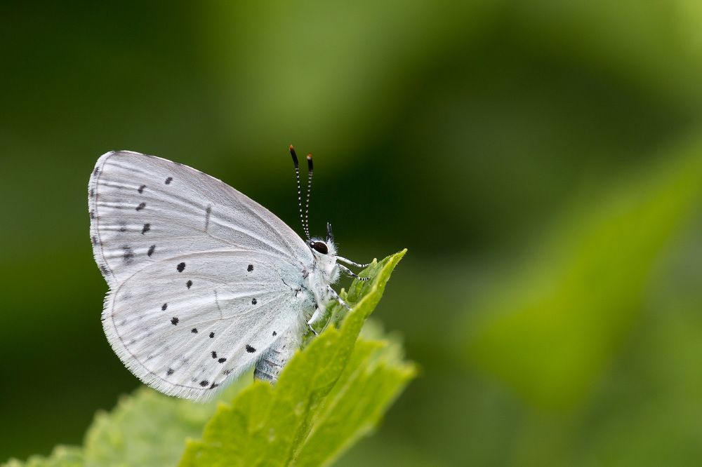 Photograph by Сергей