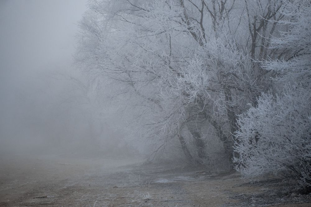 Photograph by Владимир Осауленко