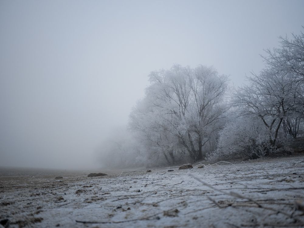 Photograph by Владимир Осауленко