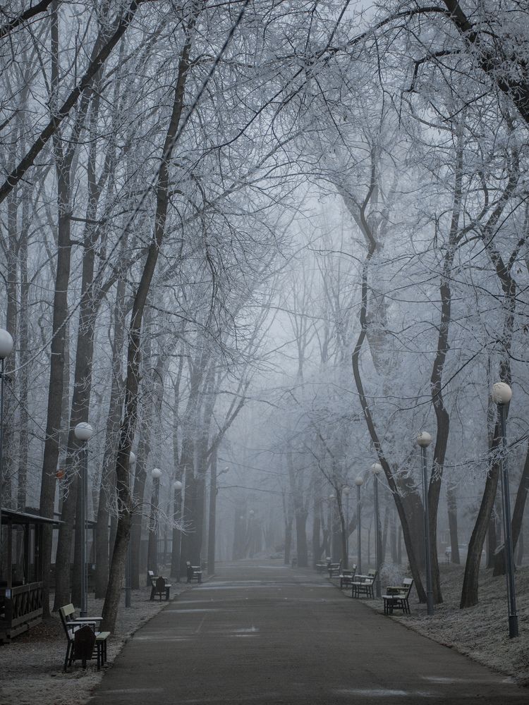 Photograph by Владимир Осауленко