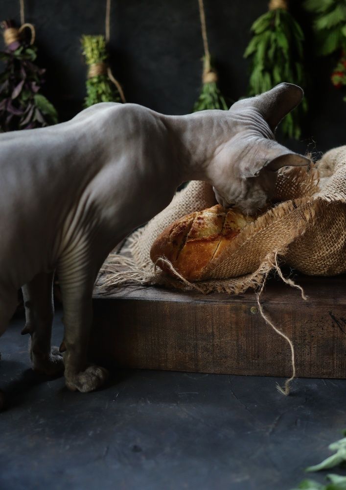 Photograph by Ирина Воробьева