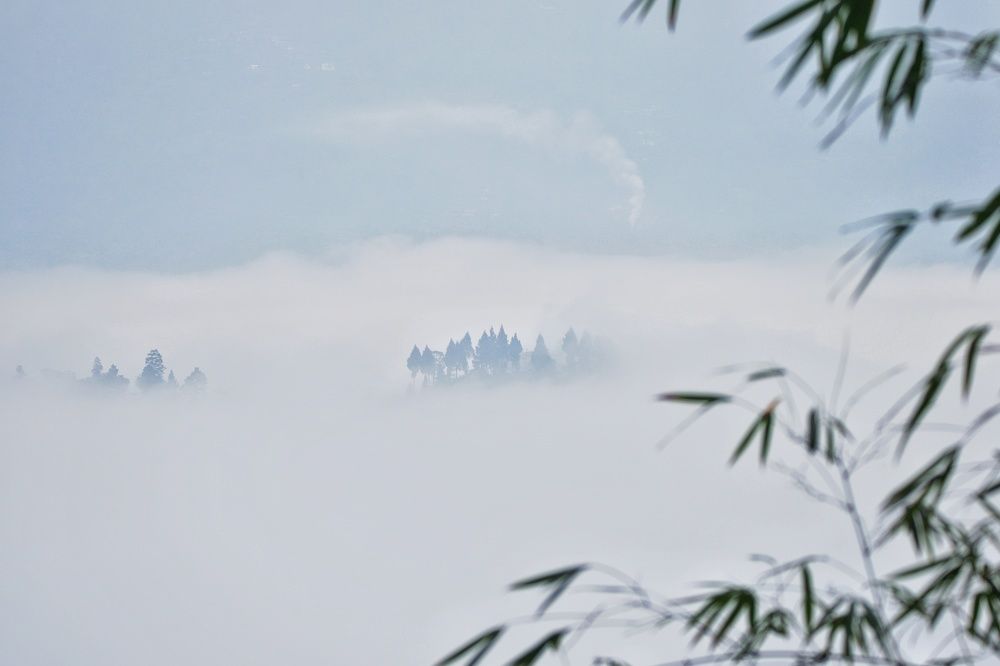 Photograph by Sujoy Chanda