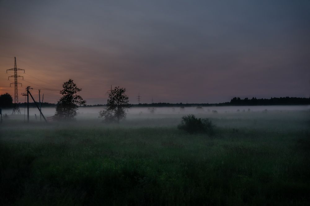 Photograph by Светлана Городилова