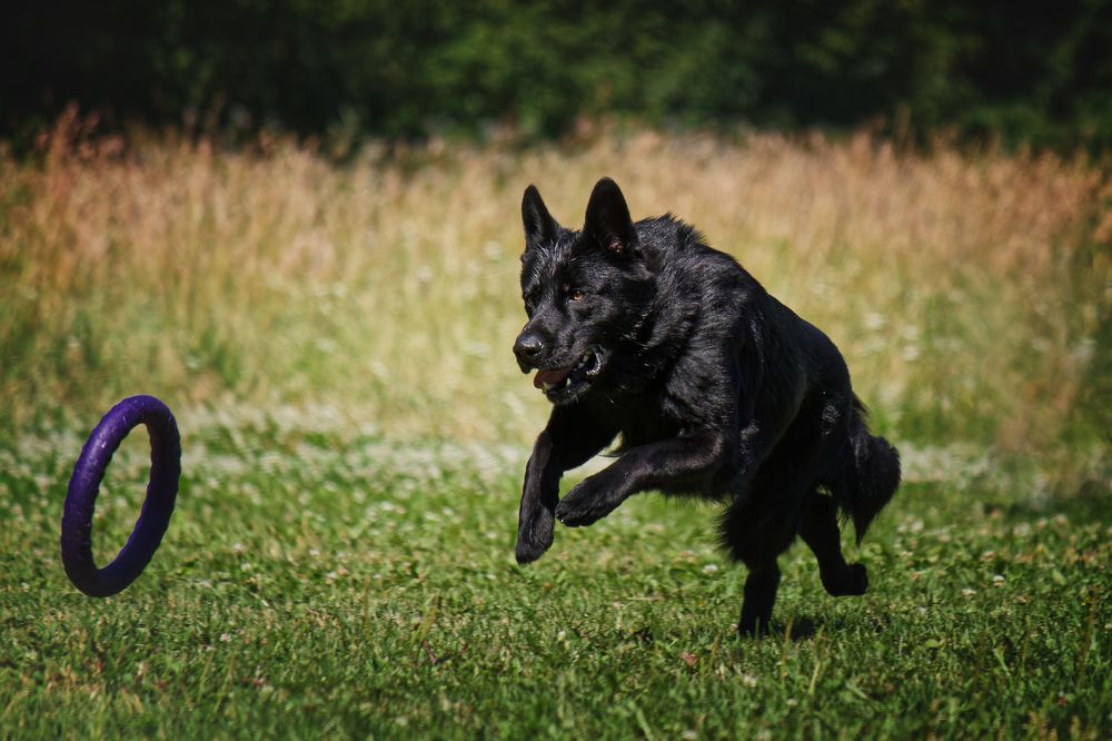 Photograph by Андрей Соколов