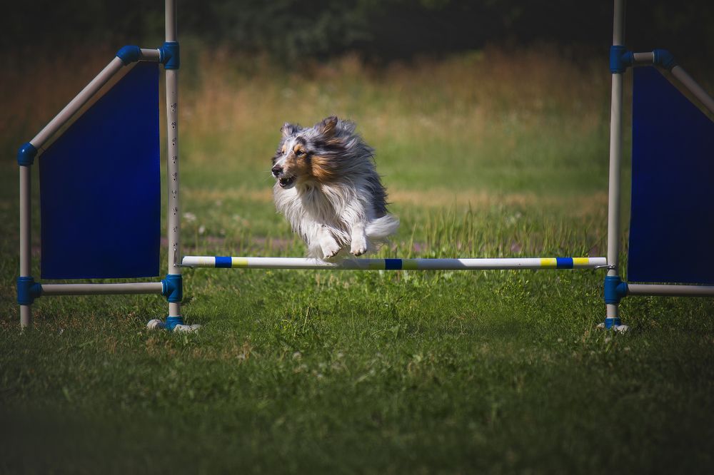 Photograph by Андрей Соколов