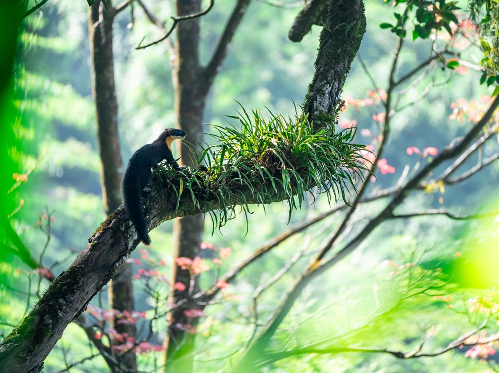 Photograph by Yuvaraj