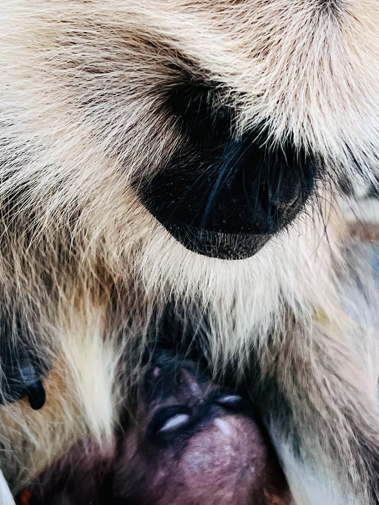 Photograph by Yuvaraj