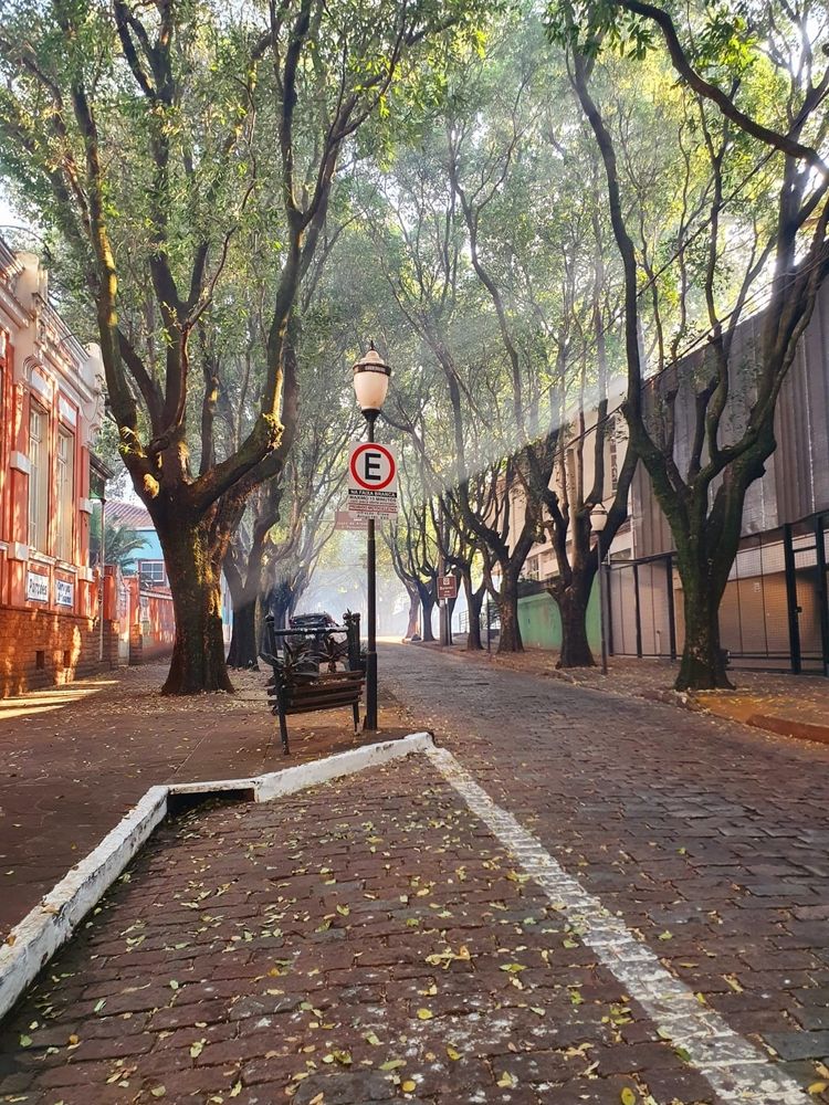 Photograph by Régis Santos