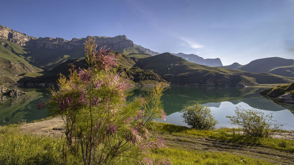 Прекрасное и опасное
